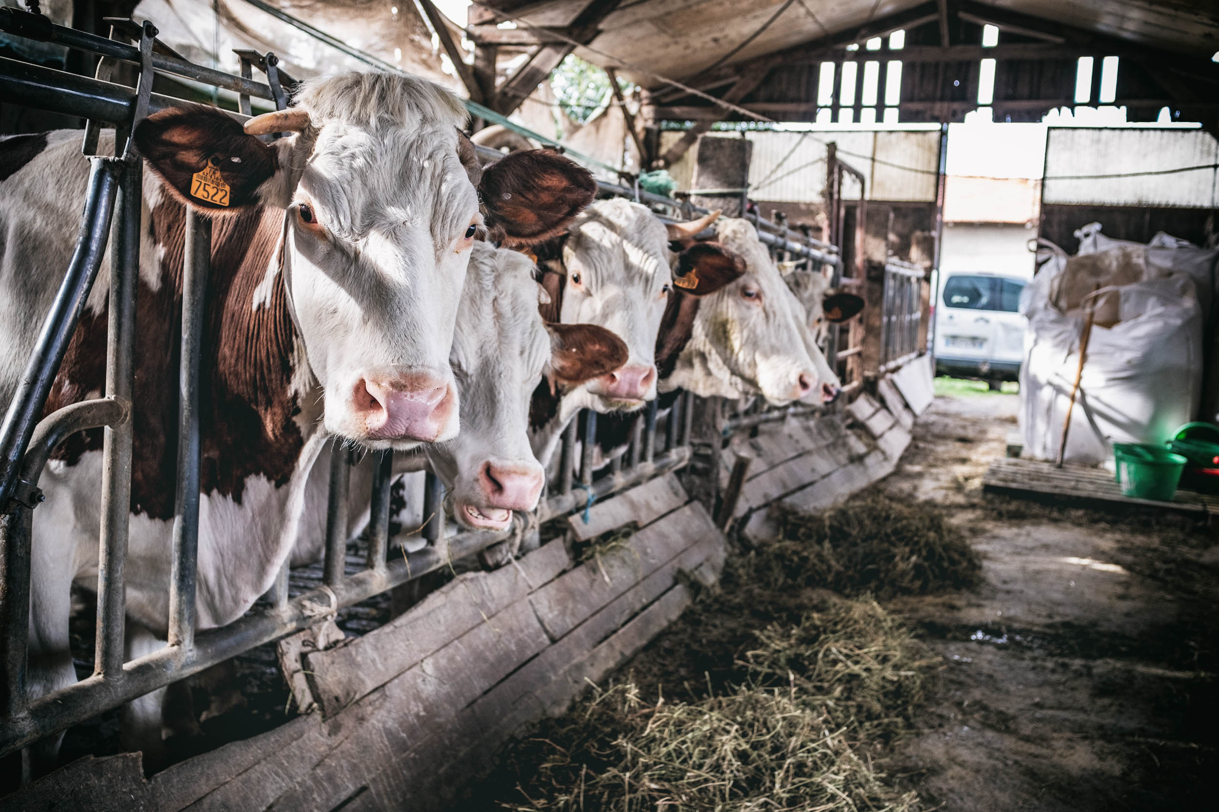 Ferme Altermont